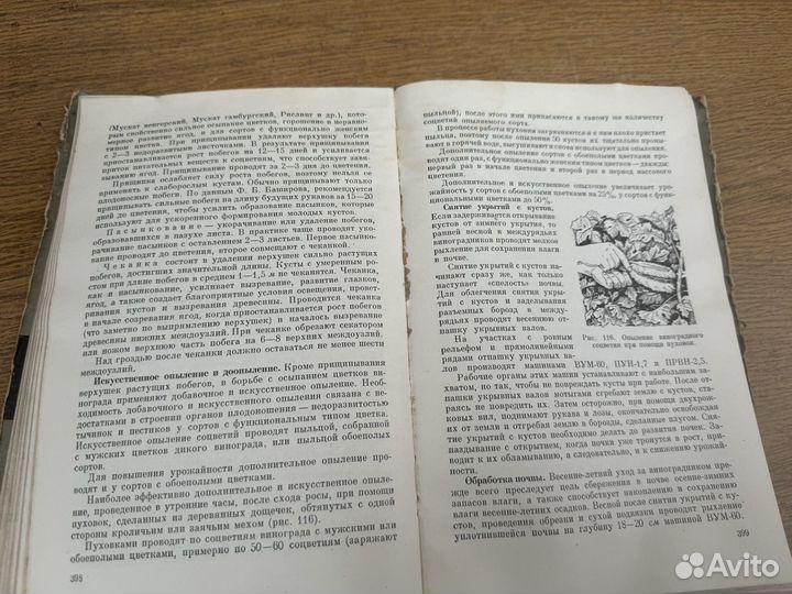 Плодоводство книга 1962 год