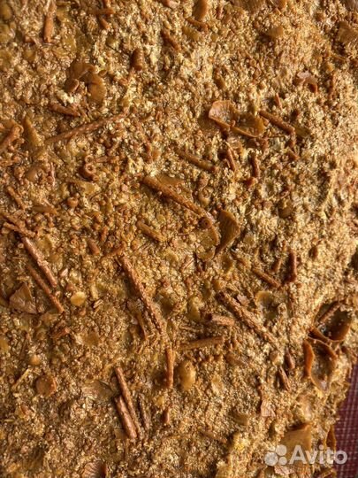 Окаменелое дно древнего моря