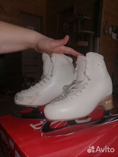 Фигурные коньки edea chorus