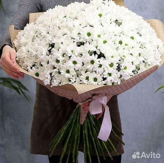 Хризантема Букет хризантем Доставка