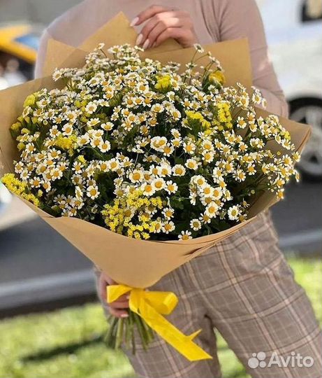 Букеты ромашек