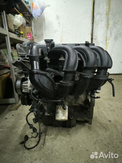 Двигатель Ford focus 2 1.6 100 л с