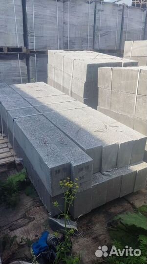 Перегородочная перемычка