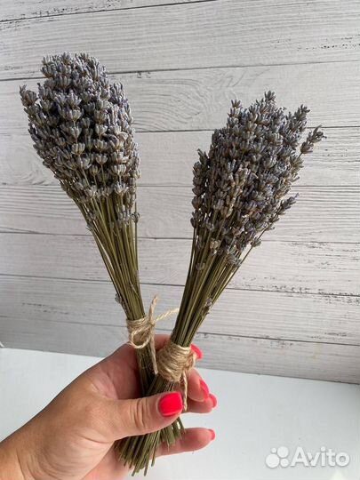 Букет из лаванды, лаванда