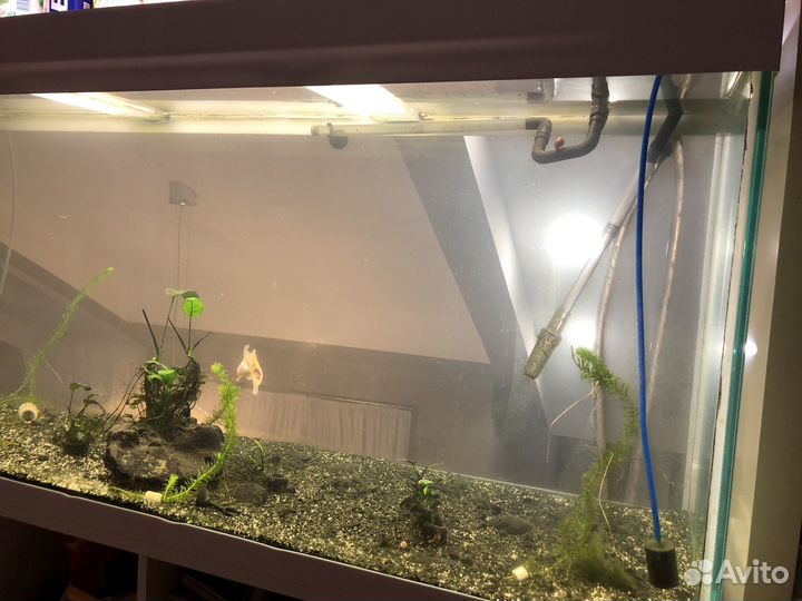 Аквариум