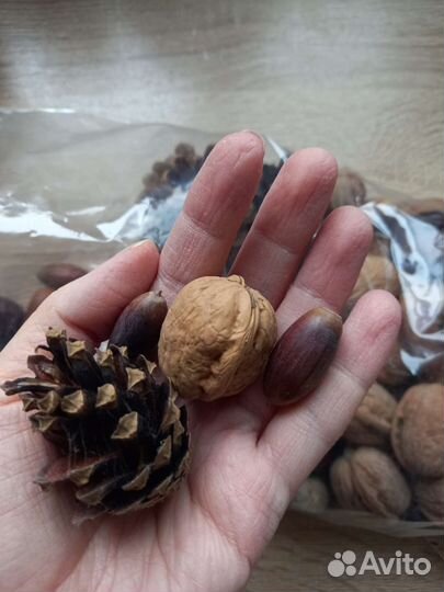 Природный материал для сенсорной коробки