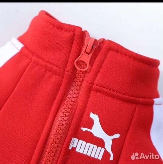 Толстовка для собак