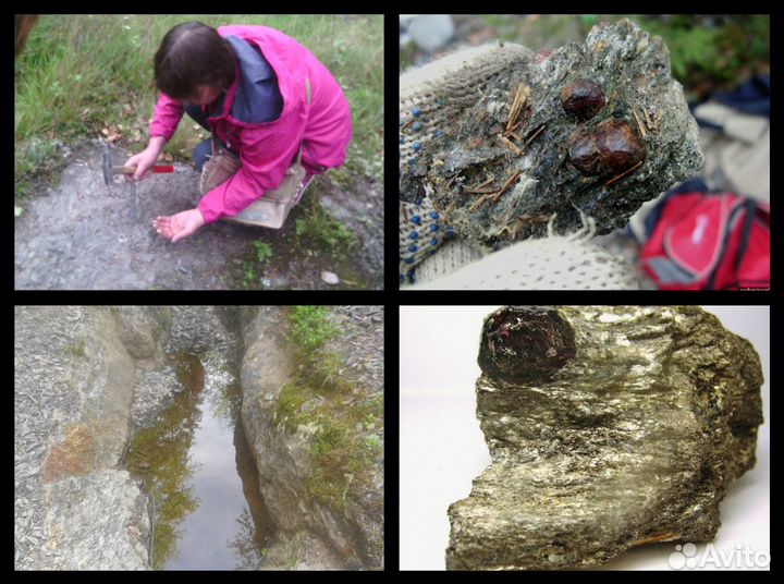 Гид экскурсовод