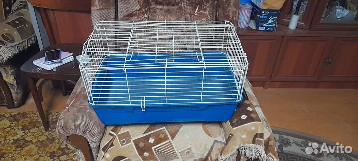 Клетки разных размеров