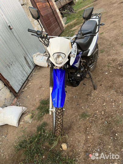 Racer Panther Lite (RC250GY-C2A)