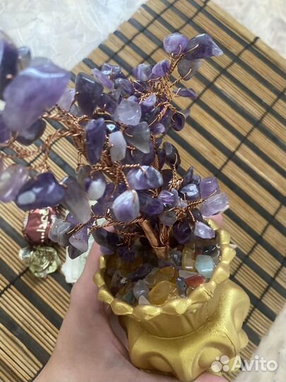 Денежное дерево счастья