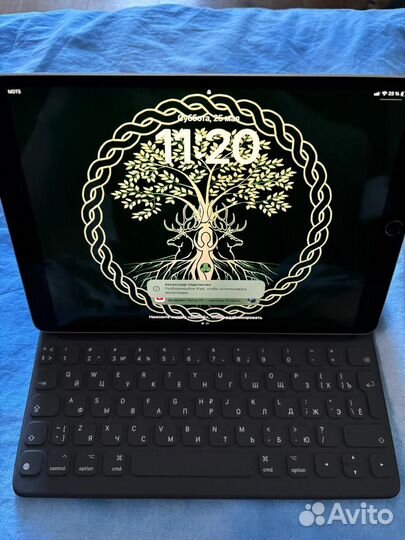 iPad Pro (10,5 дюйма) Wi-fi+Cellular, 256 гб