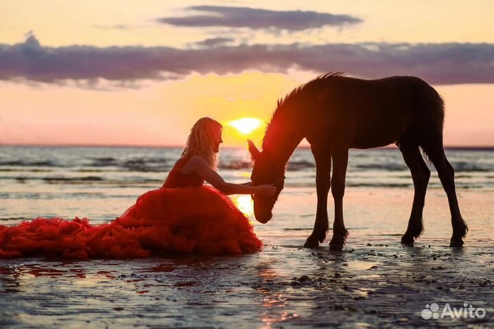 Фотосессия с Фризом