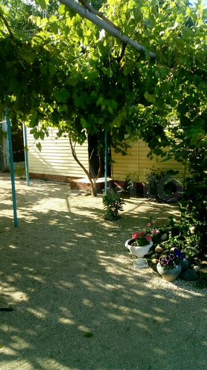 Дом 50 м² на участке 15 сот.