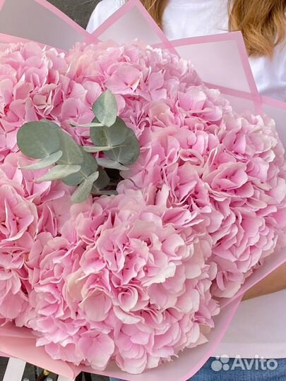 Букет цветов гортензия к 1 сентября