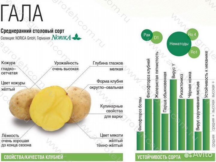 Продукты питания