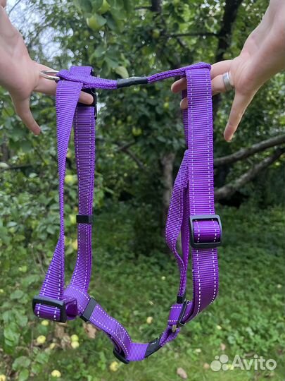 Шлейка для средней собаки Authentic Rogz Gear