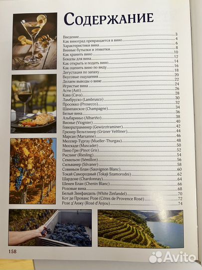 Вино. Большой иллюстрированный гид. Шпаковский М