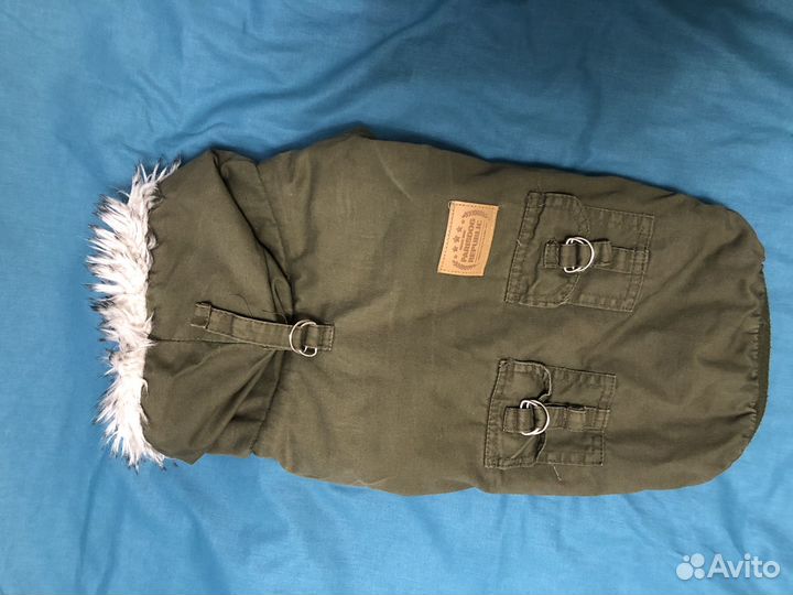 Одежда для собак