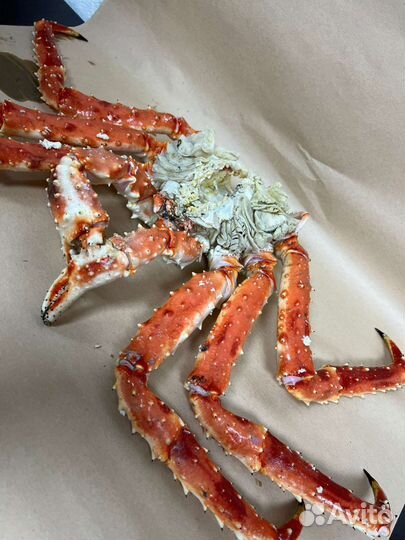 Краб Камчатский