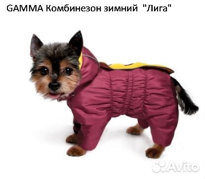 Одежда для собак