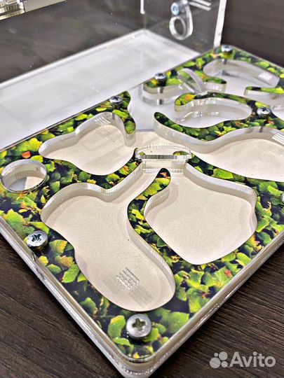 Муравьиная ферма mini