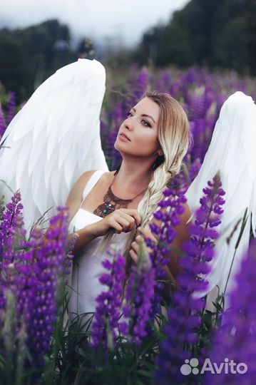 Риэлтор, Ипотека, Покупка и продажа недвижимости