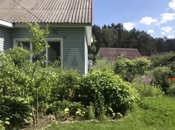 Жуковка Краснофокинская улица. Брянская область, Жуковский район, Жуковка, Краснофокинская улица, 45.