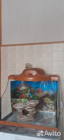 Продам аквариум