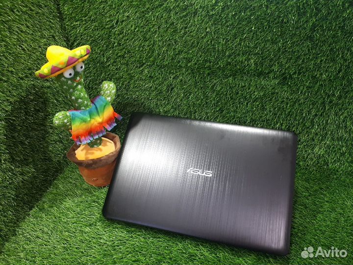 Золотой asus для простых игр+SSD+810M