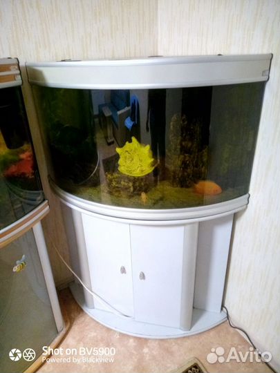 Аквариум Aquatlantis(Португалия) 200л