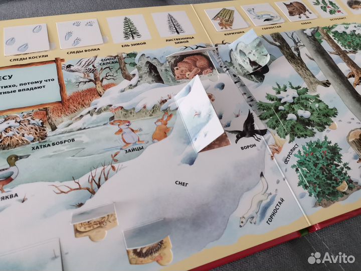 Книга с окошками В лесу, Тони Вульф