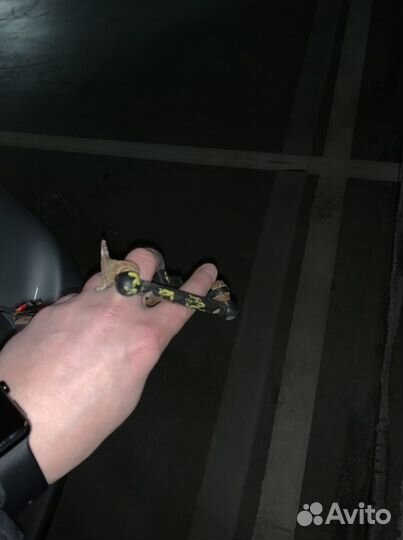 Задний датчик дорожного просвета ауди а5