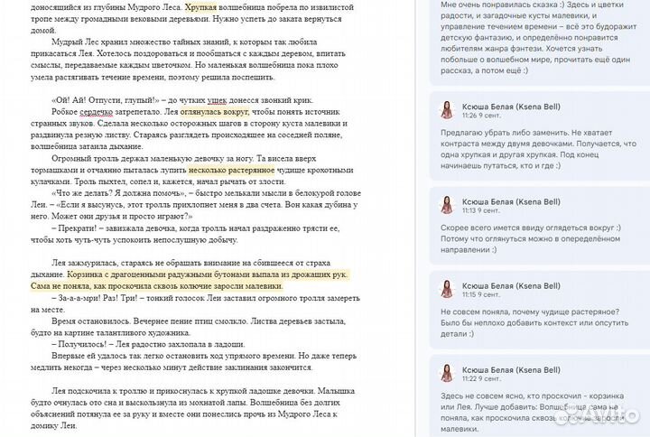 Литературный редактор