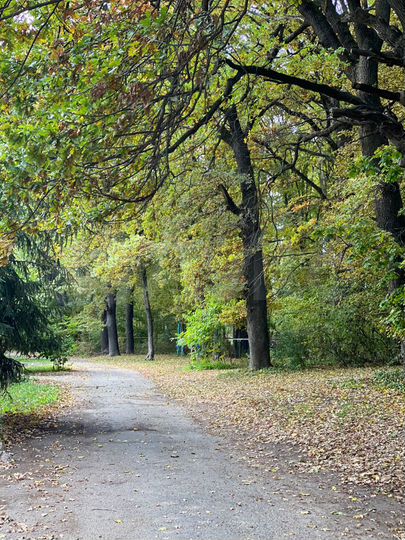 Дом 250 м² на участке 10 сот.