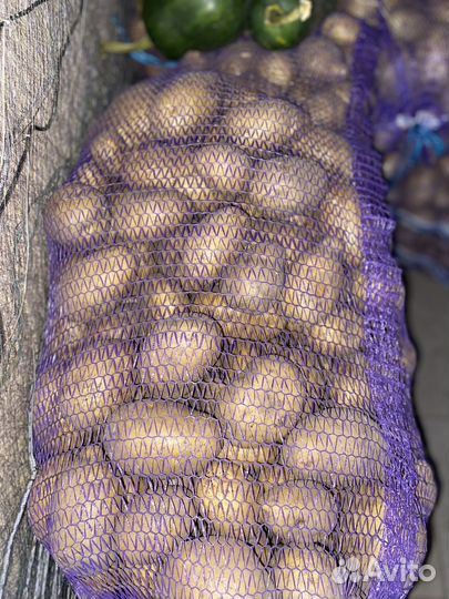 Картофель деревенский