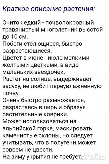 Очиток едкий