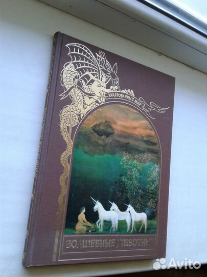 Зачарованный мир