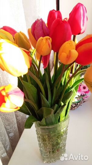 Луковицы тюльпанов