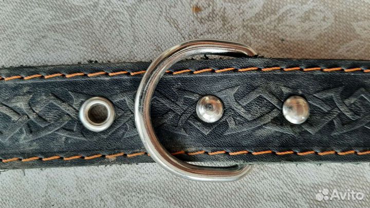 Поводок и ошейник для собаки