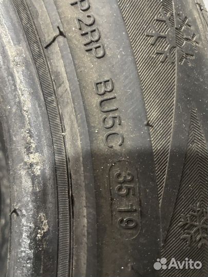 Delinte Winter WD1 195/55 R15