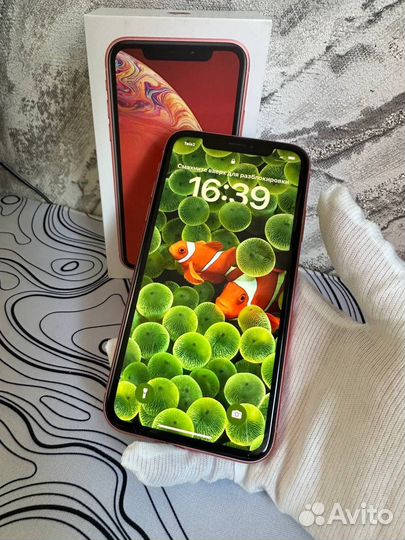 iPhone Xr, 256 ГБ