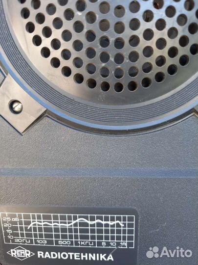 Акустические колонки радиотехника 6 ас-221