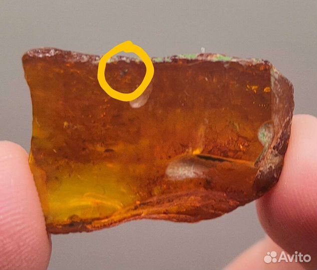 3 Инклюза - Небольшие комары, мошки / Окаменелости