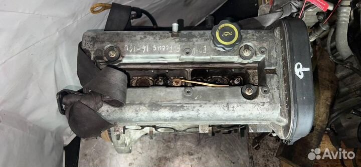 Двигатель Ford Focus 1 поколение 1.6