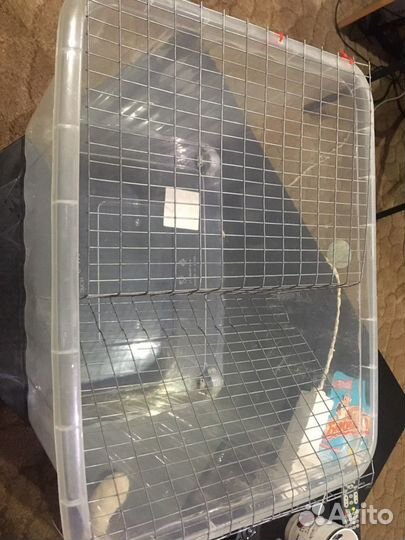 Клетка для грызуна