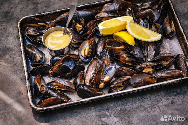 Мидии Чилийские целые в раковине, размер 40/60