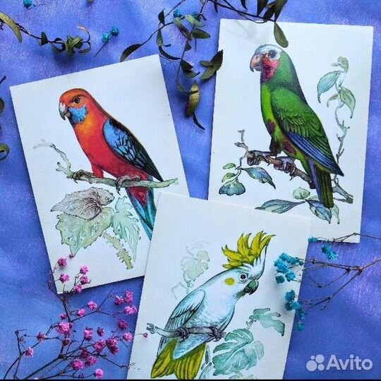 Набор открыток 