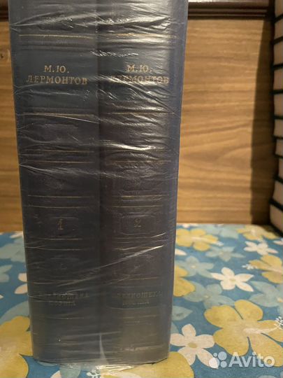 Книги М.Ю. Лермонтов 2 тома