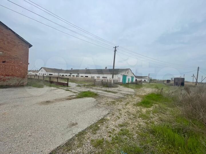 Участок 10 га (промназначения)